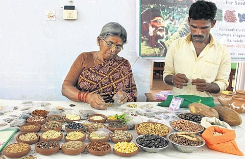 நமக்கு நாமே விதைகளைப் பாதுகாப்போம்