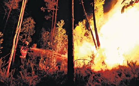 போர்ச்சுகல் காட்டுத் தீயில் 62 பேர் பலி