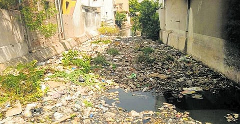 விருகம்பாக்கம் - அரும்பாக்கம் கால்வாயில் குப்பை தேக்கம்| துர்நாற்றம், கொசுத் தொல்லையால் பொதுமக்கள் அவதி