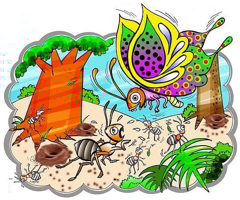 சித்திரக் கதை: வண்ணத்துப் பூச்சியின் கடைசி ஆசை