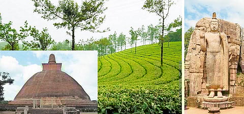 ஊர்ப் புதிர் 13: கண் தானத்தில் சிறந்த நாடு!