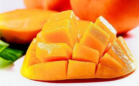 தித்திக்கும் மாம்பழம்!