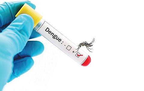 நெல்லை மேற்கு மாவட்டத்தை மிரட்டும் டெங்கு: சவாலாகும் பாதுகாப்பு