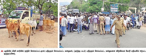 கன்றுகளை ஏற்றிச் சென்ற மினி லாரி தடுக்கப்பட்டதால் பழநியில் இருதரப்பினர் கடும் மோதல்: கல்வீச்சில் பஸ் கண்ணாடி சேதம், போலீஸார் தடியடி