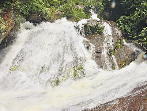 கோவை மாவட்டத்தில் வாடும் விவசாயிகளை காப்பாற்றுமா பருவமழை?