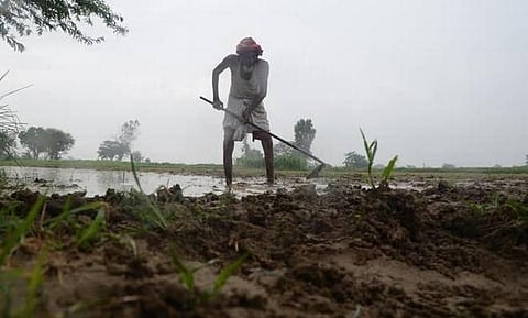 உரங்கள் மீதான ஜிஎஸ்டி வரி 12%-லிருந்து 5% ஆகக் குறைப்பு