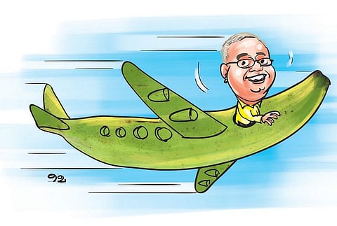 ருசியியல் சில குறிப்புகள் 27: வாழைக்காய் வரலாறு!