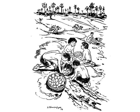 கடலம்மா பேசறங் கண்ணு 9: மச்சம் பிடித்தவனுக்கு மிச்சம் இல்லை