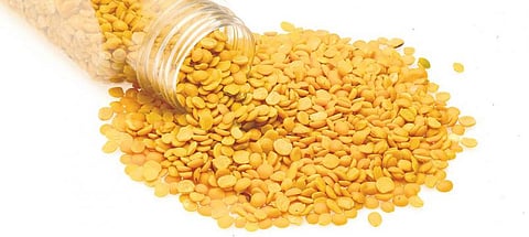 உயிர் வளர்த்தேனே 42: சாம்பார் காதல் ஏன் குறைவதில்லை?