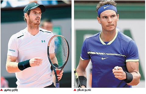 விம்பிள்டன் டென்னிஸ் போட்டி டிரா வெளியீடு: அரை இறுதி சுற்றுகளில் ஆன்டி முர்ரே- நடால், பெடரர்- ஜோகோவிச் மோத வாய்ப்பு