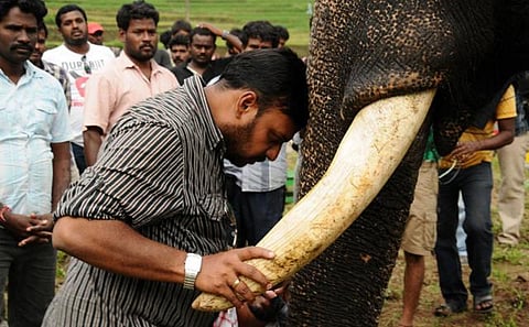 புதுமுக நடிகர்களுடன் பிரபுசாலமன் உருவாக்கும் கும்கி 2