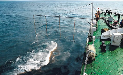 கடலில் எண்ணெய் கசிந்த விவகாரம்: பாதிக்கப்பட்ட மீனவர்களுக்கு 8 வாரங்களுக்குள் இழப்பீடு - தமிழக அரசுக்கு பசுமை தீர்ப்பாயம் உத்தரவு