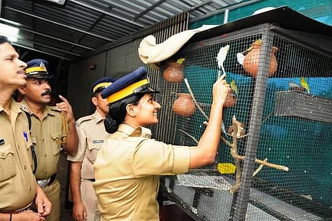 இசை, நூலகம், மரக்கன்றுகள்: புதுமை படைக்கும் கேரள காவல் நிலையம்
