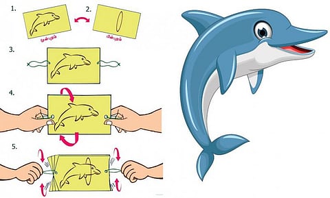 நீங்களே செய்யலாம்: குதிக்கும் டால்பின்!