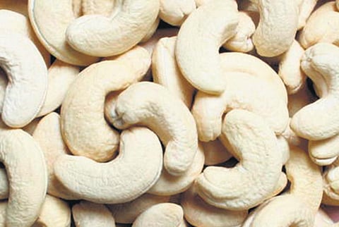 முந்திரி