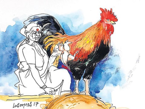 பெண் கதை எனும் பெருங்கதை 2: மனிதரை அண்டிப் பிழைக்கும் உயிர் ராசி