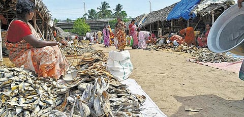 மவுசு குறையாத மயிலாடுதுறை கருவாட்டுச் சந்தை