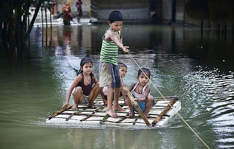 இளம் கன்றுகளும் பயமும்!
