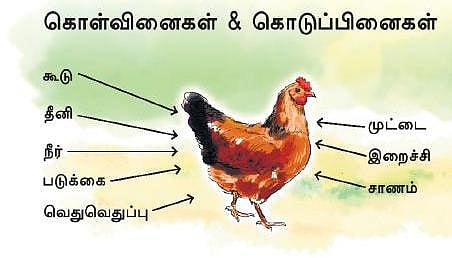 தொட்டனைத்து ஊறும் அமிழ்தம் 42: தனித்தன்மைகள் தெரியுமா?