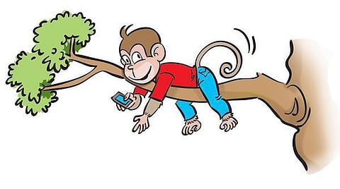 டிங்குவிடம் கேளுங்கள்: விலங்குகள் ஏன் பல் துலக்குவதில்லை?