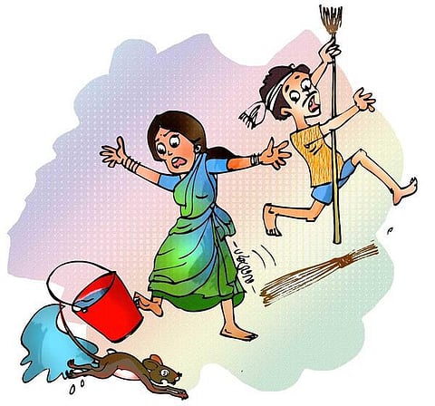 இடம் பொருள் மனிதர் விலங்கு: பாயும் எலி, பதுங்கும் பூனை!