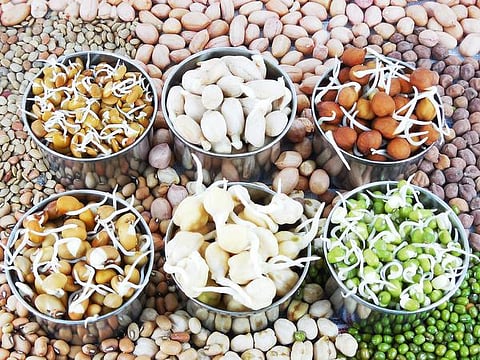 உயிர் வளர்த்தேனே 46: வாயுப் பண்டம் மீது அபாண்டப் பழி!