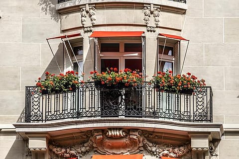 பால்கனியில் பல வகை