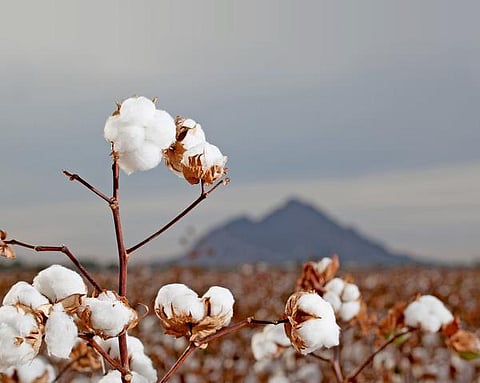 கண் மூடிய புரட்சி மரபணு!