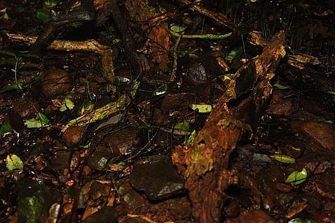 ஒளியிலே தெரிவது…