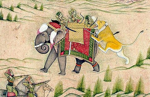 ‘காணாமல் போன அரி - கரி சண்டை’ - கவலைப்படும் கானுயிர் ஆர்வலர்