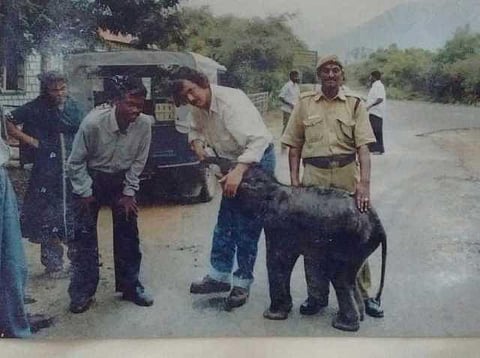 யானைகளின் வருகை 16: வலசைகளை அச்சுறுத்திய தெங்குமரஹாடா சாலை!