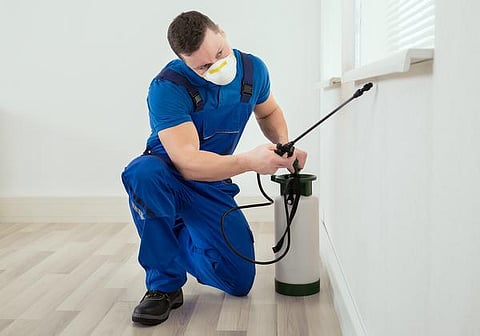 வீட்டுக்குள் பூச்சித் தொந்தரவா?