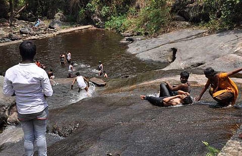 யானைகளின் வருகை 30: வனத்தை மெல்ல இழக்கும் கோவை குற்றாலம்