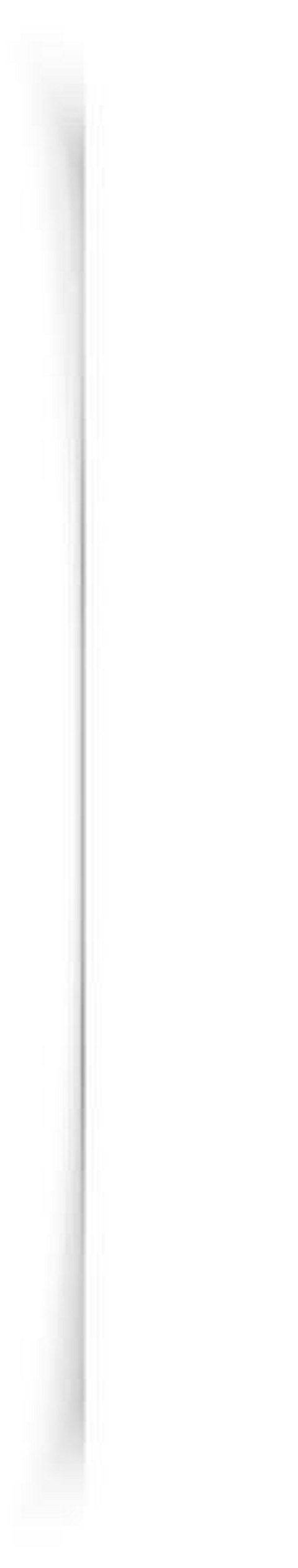 பனை மரம்: தமிழ்ச் சமூகத்தின் உயிர் சாட்சி!