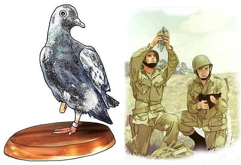 இடம் பொருள் மனிதர் விலங்கு: போர்க்களத்தில் ஓர் அமைதிப் புறா!