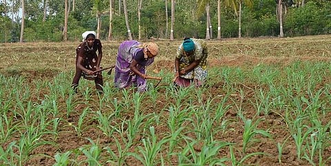 நீடித்த மானாவாரி விவசாயத்துக்கான இயக்கம் மூலம் 2 லட்சம் ஏக்கரில் 5 லட்சம் மெட்ரிக் டன் மகசூல் செய்ய இலக்கு