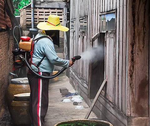 ஒரு நிமிடக் கட்டுரை: ஏன் டெங்குவை ஒழிக்க முடியவில்லை?