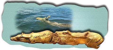 இடம் பொருள் மனிதர் விலங்கு: தந்தத்தில் வளர்ந்த மான்