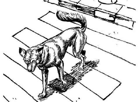 கடவுளின் நாக்கு! 64: அலட்சியமாகும் விதிகள்!