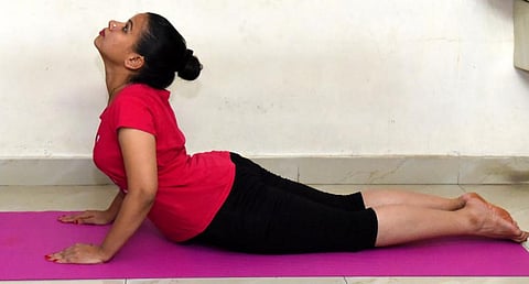 உடல் வளர்த்தேன்.. உயிர் வளர்த்தேனே!- 14:பலன்கள் அள்ளித் தரும் சூர்ய நமஸ்காரம்