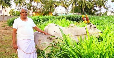 1 ஏக்கருக்கு ரூ.1 லட்சம் லாபம்! - லட்சியப் பாதையில் ஏர் தூக்கிய ‘மிலிட்டரி!’