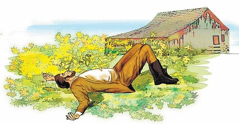 இடம் பொருள் மனிதர் விலங்கு: காட்டு மனிதர்