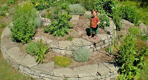 தொட்டனைத்து ஊறும் அமிழ்தம் 55: விடாது தொடரும் பரவல்