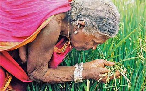 ஒளிரும் கண்கள் 06: தனிமைப்படுத்தப்பட்ட தீவுகள்