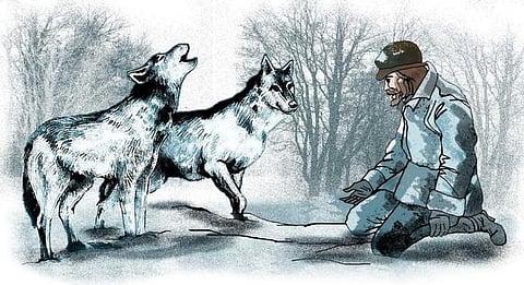 இடம் பொருள் மனிதர் விலங்கு: ஓநாய் வேட்டை