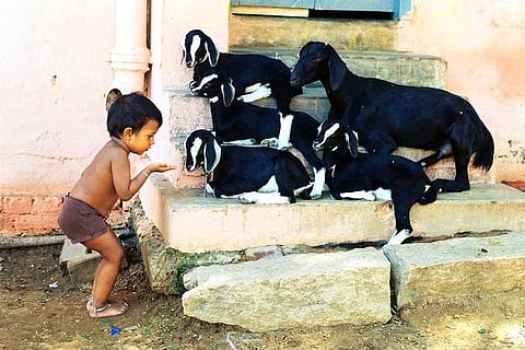 ஒளிரும் கண்கள் 07: பெட்டிக்கடை பல்கலைக்கழகம்