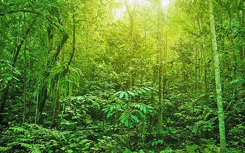 தொட்டனைத்து ஊறும் அமிழ்தம் 56: தட்பவெப்பத்தைப் புரிந்துகொள்ளுதல்