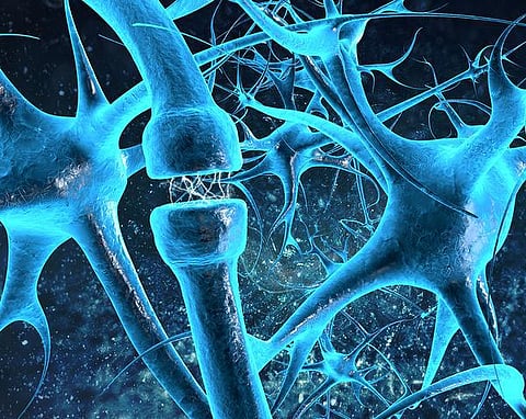 டிஜிட்டல் போதை 07: மூளை எனும் ரசவாதி