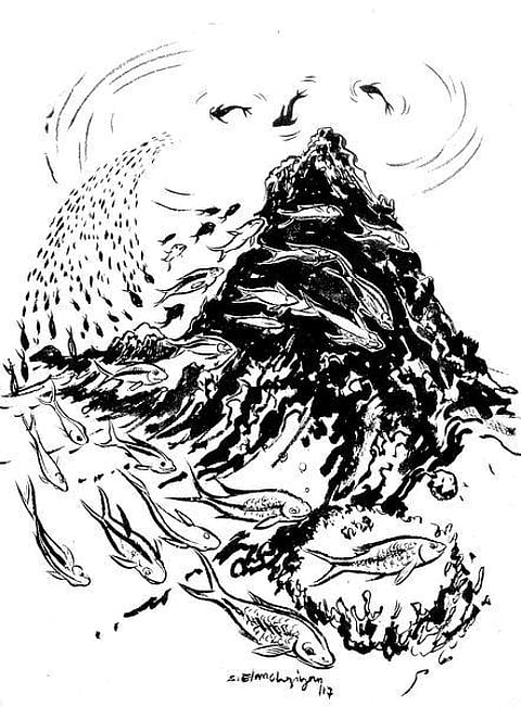 கடலம்மா பேசுறங் கண்ணு 27: பெருங்கடல்… ஒரு முப்பரிமாண ஊடகம்!