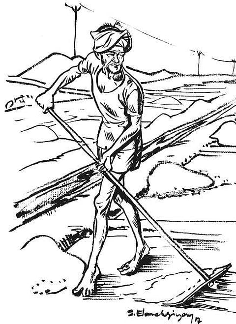 கடலம்மா பேசுறங் கண்ணு 28: உவர்ப்பு என்னும் வரம்!